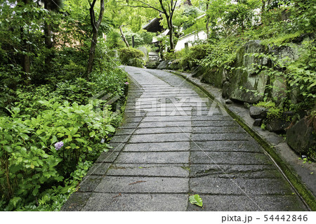 安養寺 雨の裏参道 山門 岡山県倉敷市浅原 安養寺 雨の裏参道 山門 岡山県倉敷市浅原 54442846