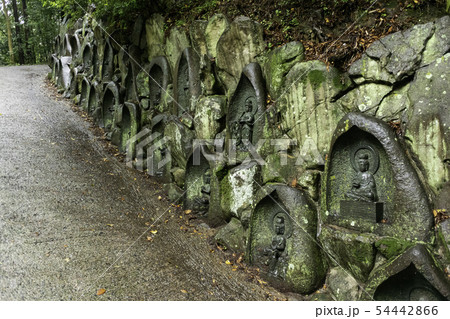 安養寺　雨の石仏　福山古城　岡山県倉敷市浅原 54442866