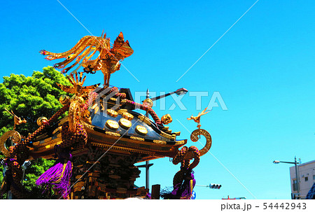 浅草三社祭の風景 54442943