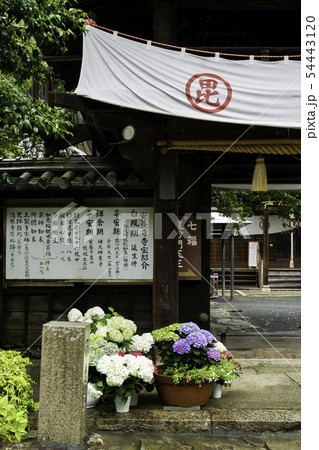 安養寺 雨の山門 岡山県倉敷市浅原 安養寺 雨の山門 岡山県倉敷市浅原 54443120