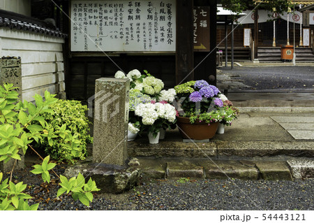 安養寺 雨の山門 岡山県倉敷市浅原 安養寺 雨の山門 岡山県倉敷市浅原 54443121