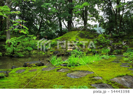 貞観園庭園 貞観園庭園 54443398