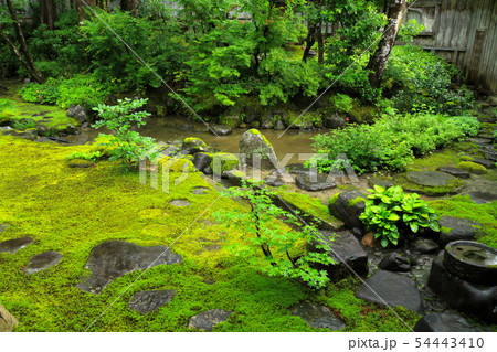 貞観園庭園 貞観園庭園 54443410