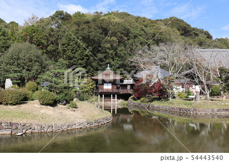 根来寺の秋の風景 根来寺の秋の風景 54443540