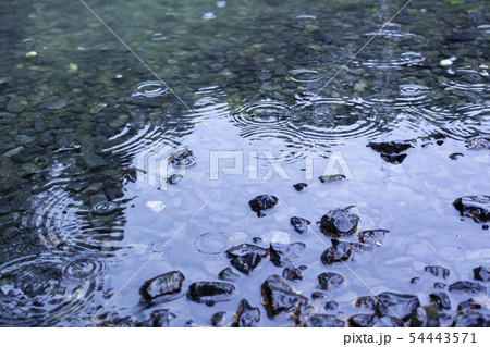 雨の水紋 水たまり 雨 雨天 雨滴の写真素材