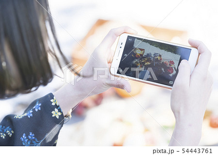 ピクニックイメージ ピクニックイメージ 54443761