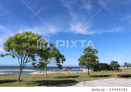 せんなん里海公園 54444181