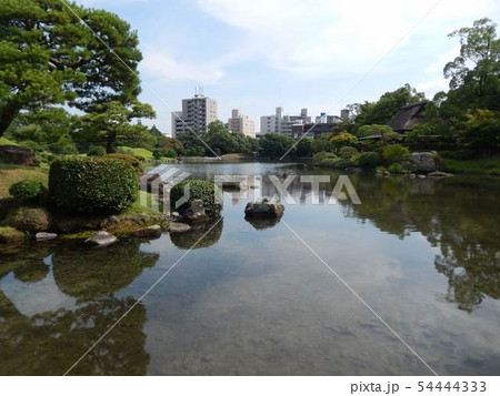 夏の湧水池 54444333