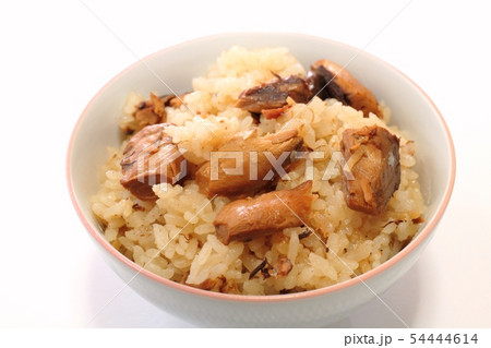 さば飯 54444614