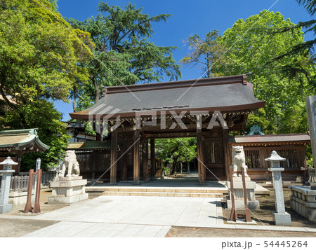 埼玉県　川口神社 54445264