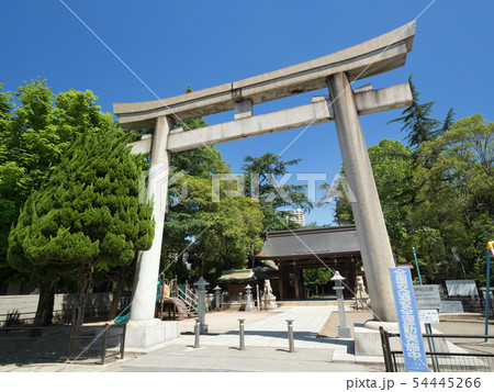 埼玉県 川口神社 埼玉県 川口神社 54445266