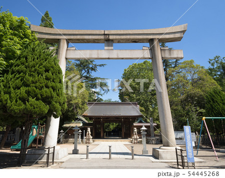 埼玉県　川口神社 54445268