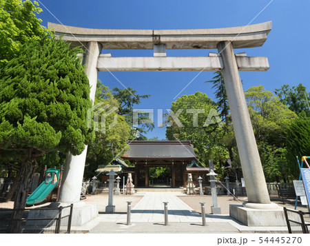 埼玉県　川口神社 54445270