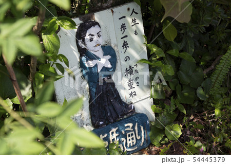 龍馬通りの格言 龍馬通りの格言 54445379