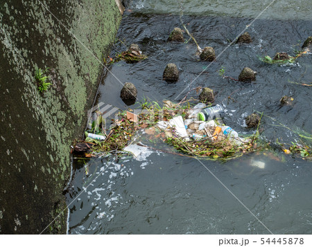 河川のプラスチックごみ a 河川のプラスチックごみ a 54445878