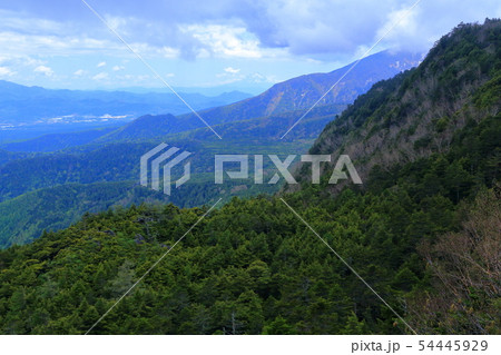 春の八ヶ岳 ニュウ山頂から南側の富士山、硫黄岳方面 54445929