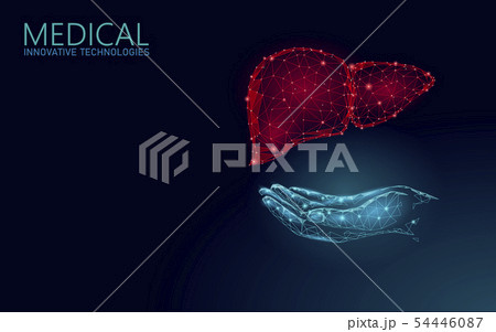 Medical symbol liver doctor online concept. Medical consultation app. Web healthcare diagnosis Medical symbol liver doctor online concept. Medical consultation app. Web healthcare diagnosis 54446087