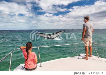 Whale watching boat tour tourists people on ship looking at humpback tail breaching ocean in Whale watching boat tour tourists people on ship looking at humpback tail breaching ocean in 54446854