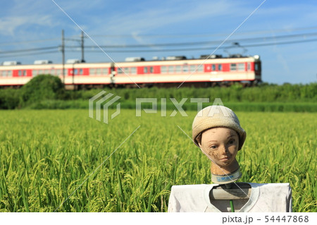 神戸電鉄粟生線の夏 神戸電鉄粟生線の夏 54447868