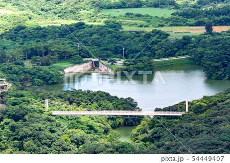 石垣島バンナ公園 54449407