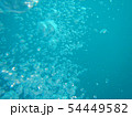 水中 54449582
