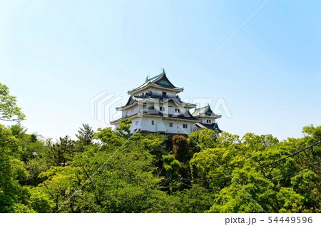 和歌山城 和歌山城 54449596