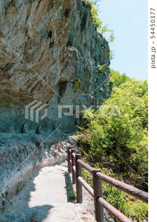 大分県 羅漢寺・古羅漢 探勝道 大分県 羅漢寺・古羅漢 探勝道 54450377