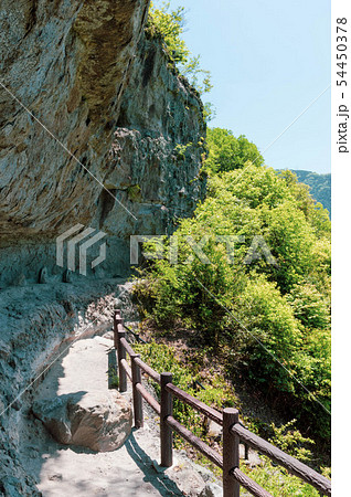 大分県 羅漢寺・古羅漢 探勝道 大分県 羅漢寺・古羅漢 探勝道 54450378