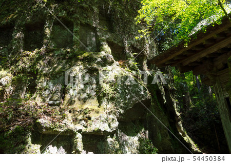 大分県　羅漢寺・古羅漢　山門手前 54450384