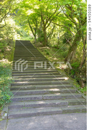 大分県　羅漢寺・古羅漢　山門手前の階段 54450389