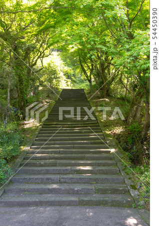 大分県　羅漢寺・古羅漢　山門手前の階段 54450390