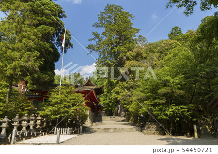 石上神宮　奈良 54450721