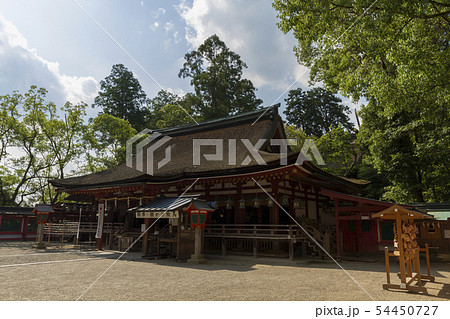 石上神宮　奈良 54450727