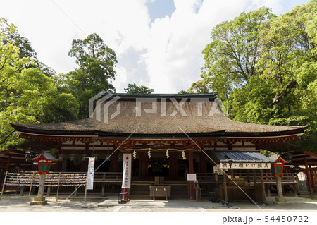 石上神宮　奈良 54450732