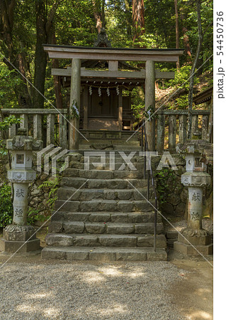 石上神宮　奈良 54450736