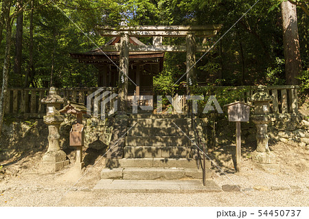 石上神宮　奈良 54450737