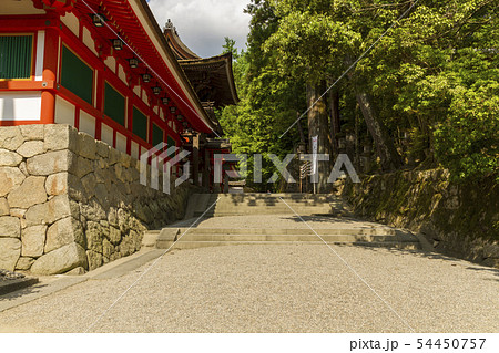 石上神宮　奈良 54450757