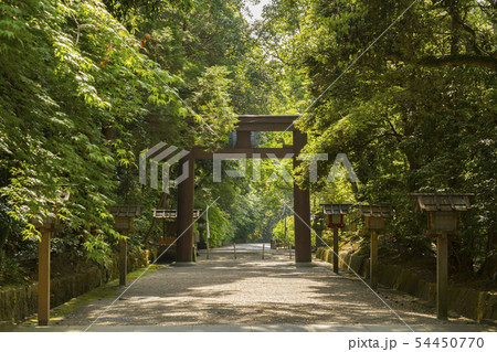 石上神宮　奈良 54450770