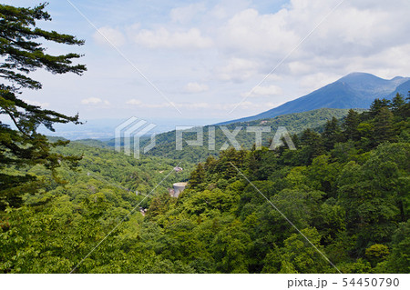 【岩手県】新緑の松川渓谷・松川地熱発電所(日本で最初に運転を開始した商用地熱発電所) 【岩手県】新緑の松川渓谷・松川地熱発電所(日本で最初に運転を開始した商用地熱発電所) 54450790