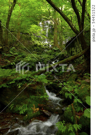 那須塩原スッカン沢の素簾の滝 那須塩原スッカン沢の素簾の滝 54451522