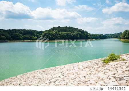 東金ダム ときがね湖 （千葉県東金市） ※2019年6月撮影 54451542