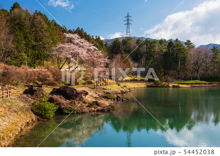 Cherry Blossom park at Kiso valley Cherry Blossom park at Kiso valley 54452038