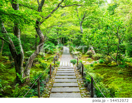 京都 嵯峨野 宝筐院 京都 嵯峨野 宝筐院 54452072
