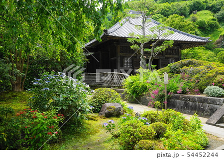 6月　鎌倉905海蔵寺のあじさい 54452244