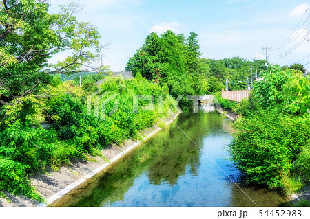 東京 福生 玉川上水(新橋より) 東京 福生 玉川上水(新橋より) 54452983
