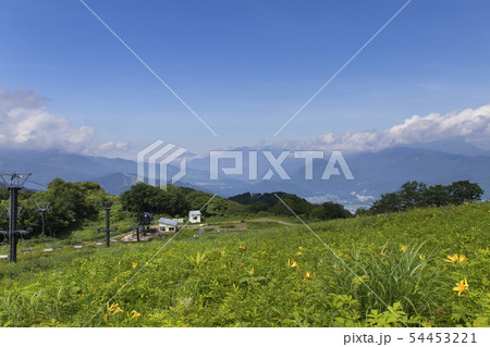 白馬五竜高山植物園 長野県白馬村の写真素材