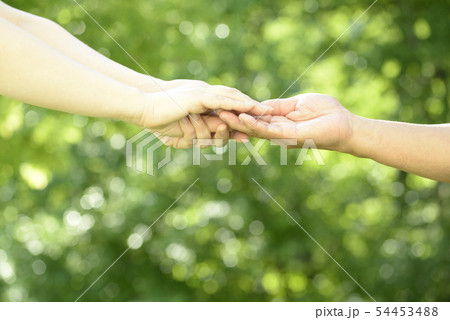 介護のイメージ 介護のイメージ 54453488