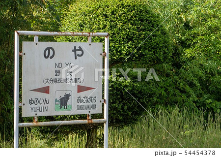 列車 列車 54454378