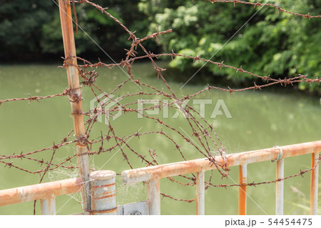 有刺鉄線 54454475