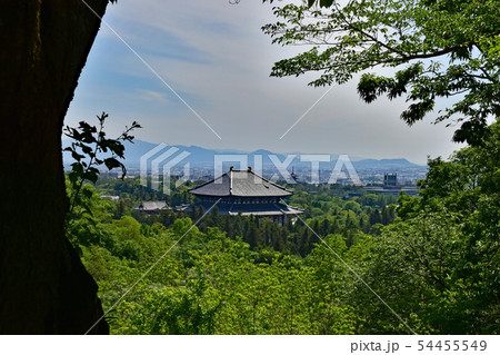 奈良公園、東大寺 54455549